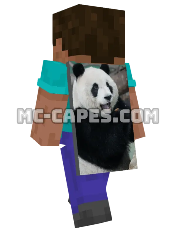 Panda Eating Minecraft cape worn on a player, seen from behind