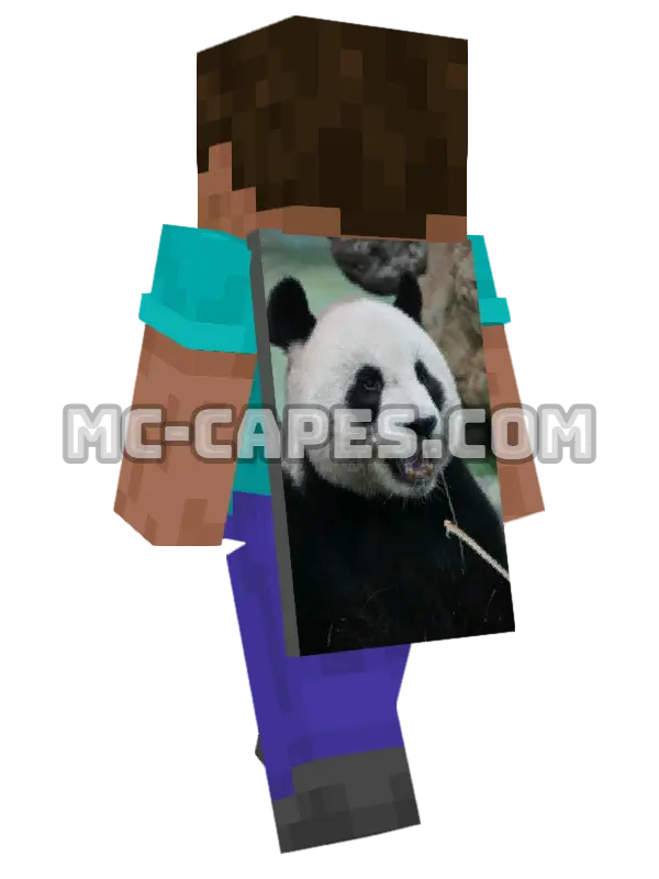 Panda Eating Bamboo Minecraft cape worn on a player, seen from behind