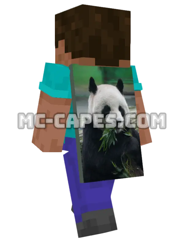 Panda Eating Bamboo Minecraft cape worn on a player, seen from behind
