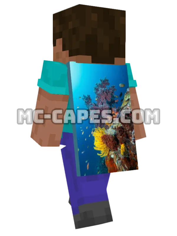 Papua Coral Reef Minecraft cape worn on a player, seen from behind