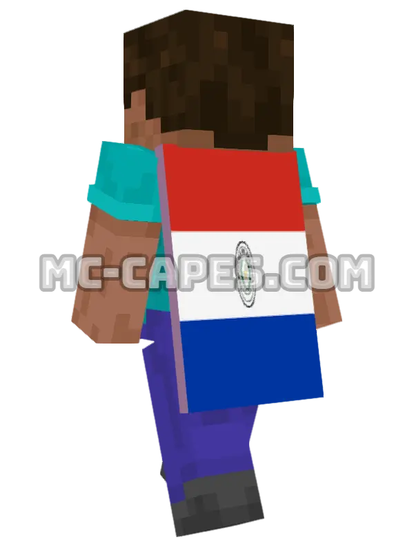 Paraguay Flag Minecraft cape worn on a player, seen from behind