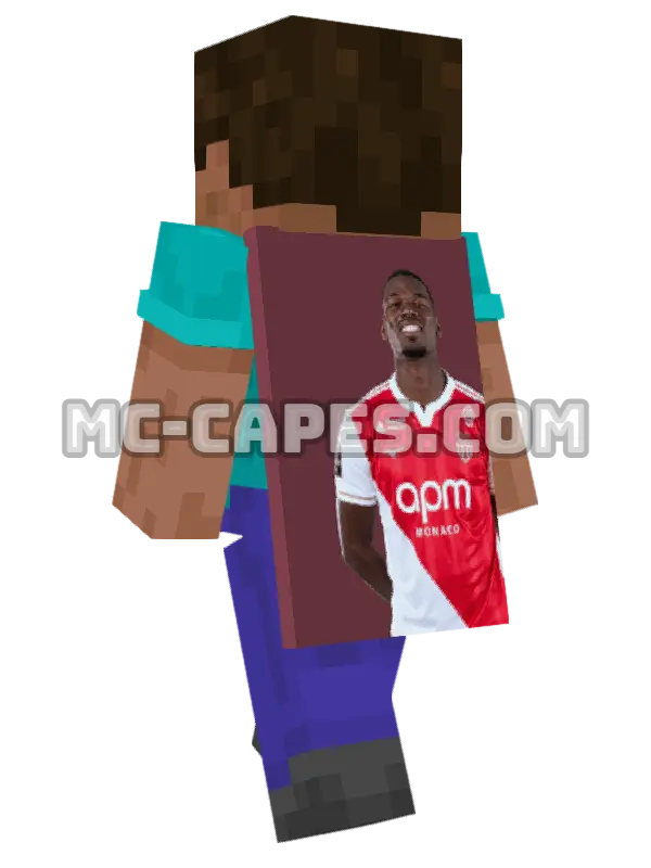 Paul Pogba Minecraft cape worn on a player, seen from behind
