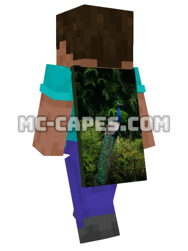Peacock Minecraft cape worn on a player, seen from behind