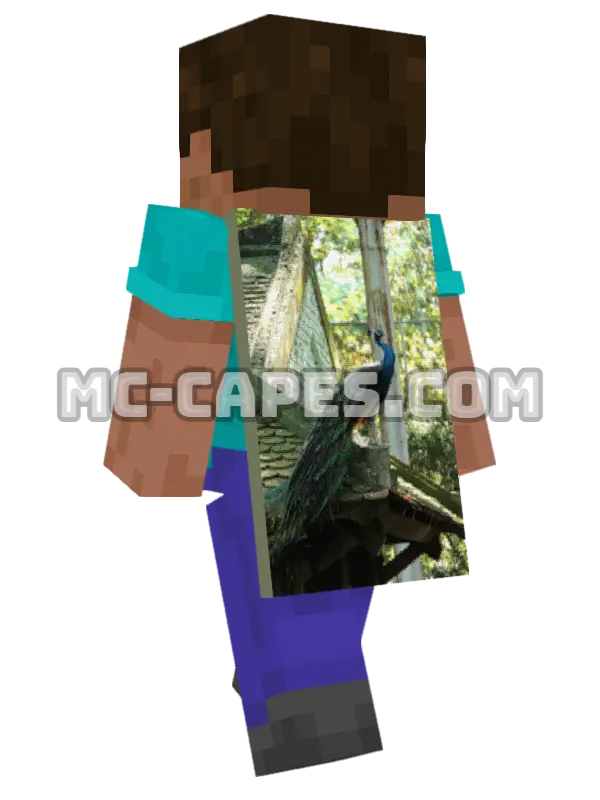 Peacock Minecraft cape worn on a player, seen from behind