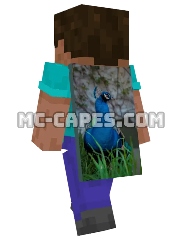 Peacock Display Minecraft cape worn on a player, seen from behind
