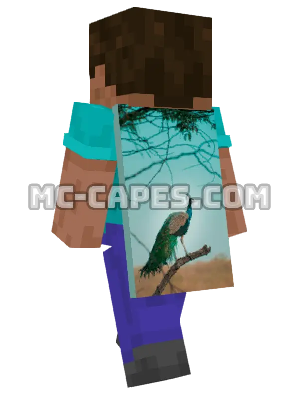 Peacock on Branch Minecraft cape worn on a player, seen from behind