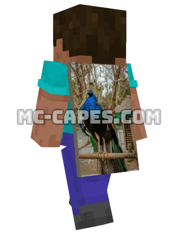 Peacock Perched Minecraft cape worn on a player, seen from behind
