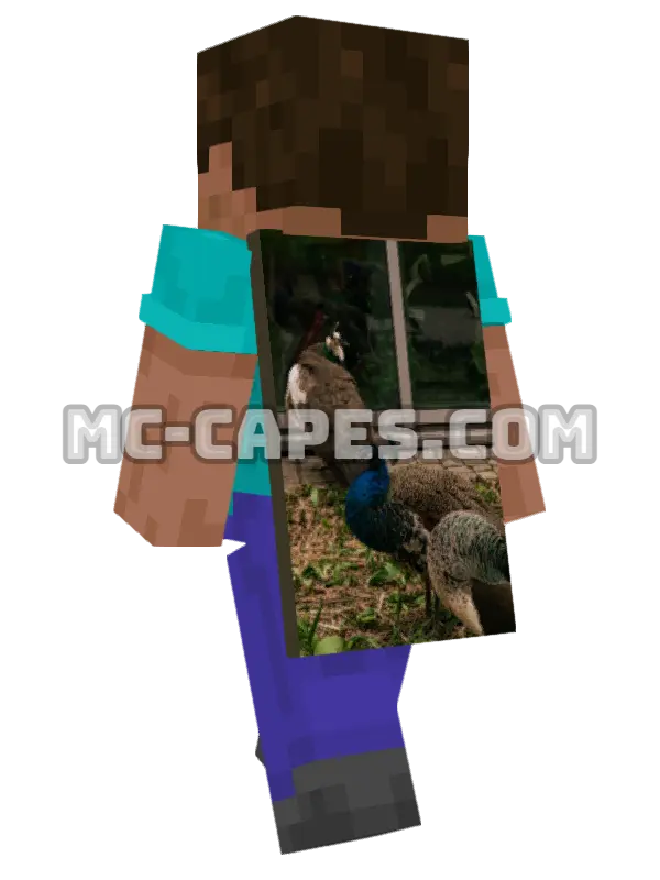 Peacocks Building Minecraft cape worn on a player, seen from behind