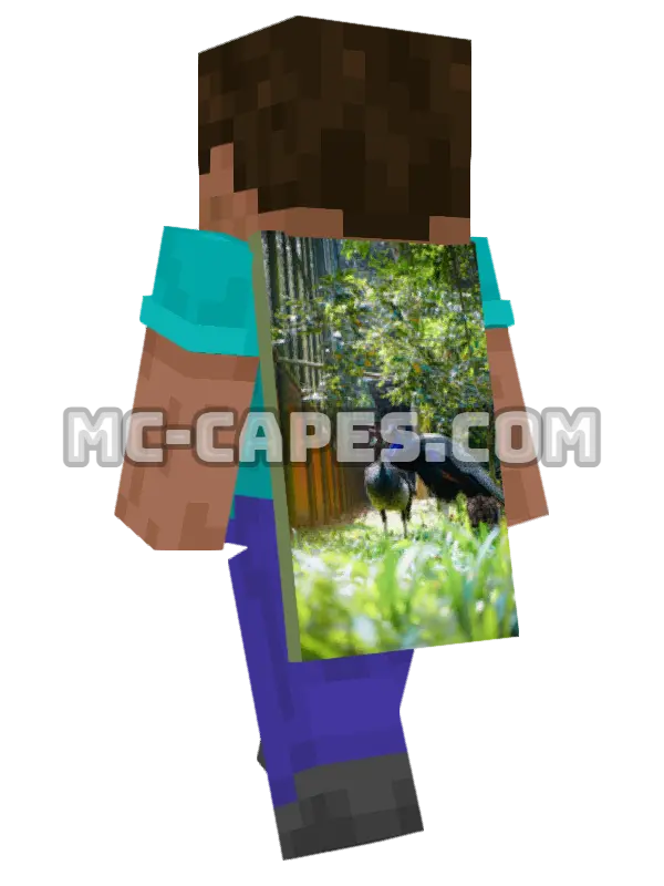 Peacocks in Aviary Minecraft cape worn on a player, seen from behind