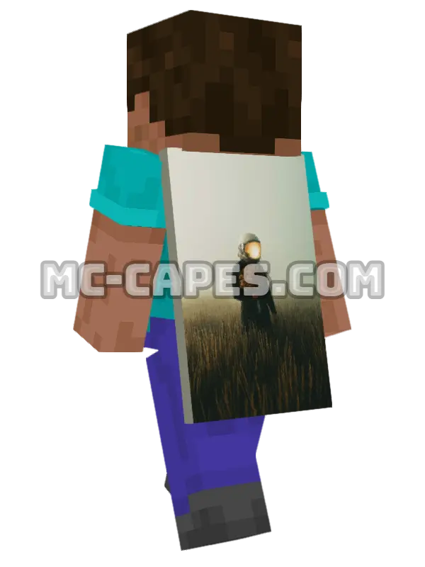 Person in Field Minecraft cape worn on a player, seen from behind