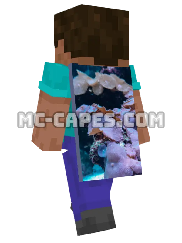 Pink Coral Reef Minecraft cape worn on a player, seen from behind