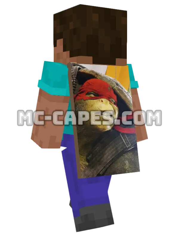 Raphael Minecraft cape worn on a player, seen from behind