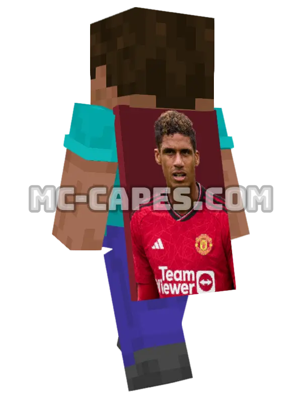 Raphael Varane Minecraft cape worn on a player, seen from behind