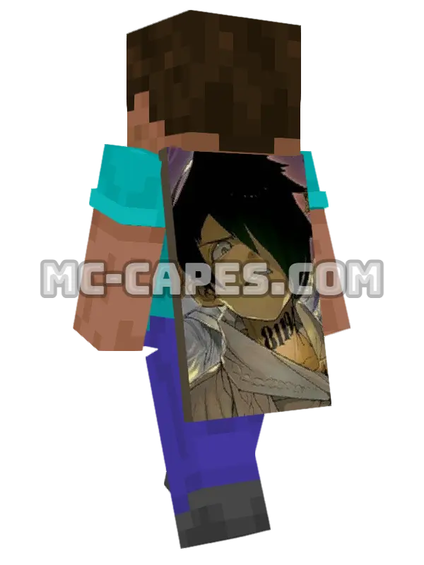 Ray Minecraft cape worn on a player, seen from behind
