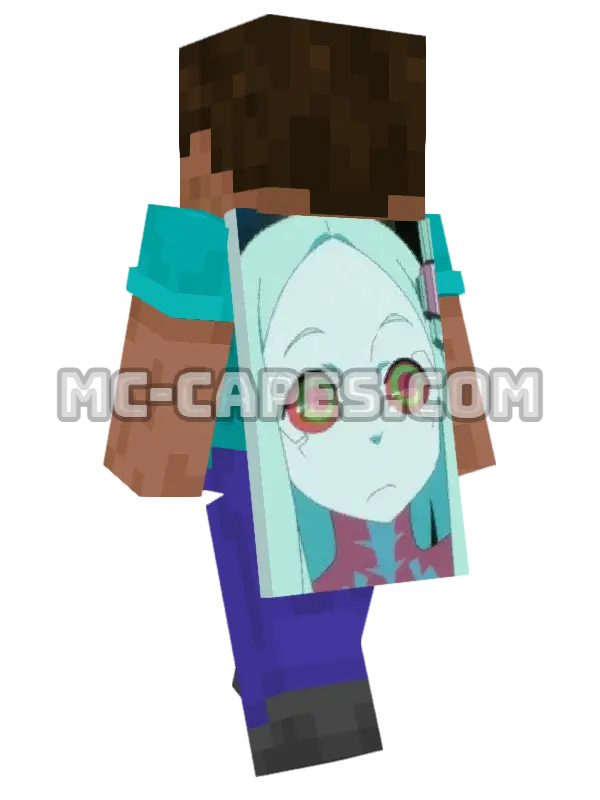 Rebecca Minecraft cape worn on a player, seen from behind