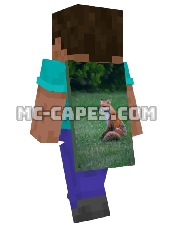 Red Fox Minecraft cape worn on a player, seen from behind