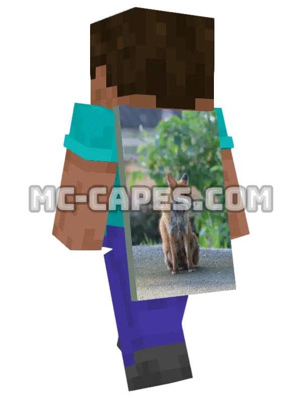 Red Fox Minecraft cape worn on a player, seen from behind