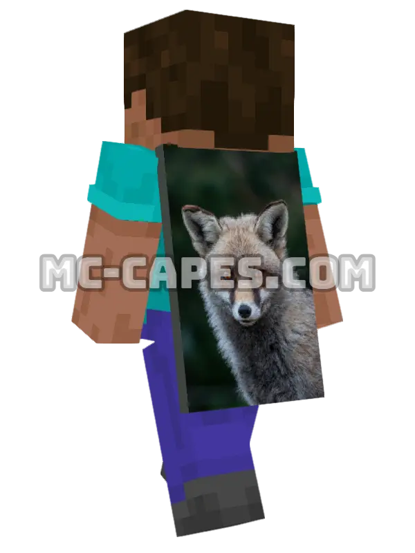 Red Fox Minecraft cape worn on a player, seen from behind