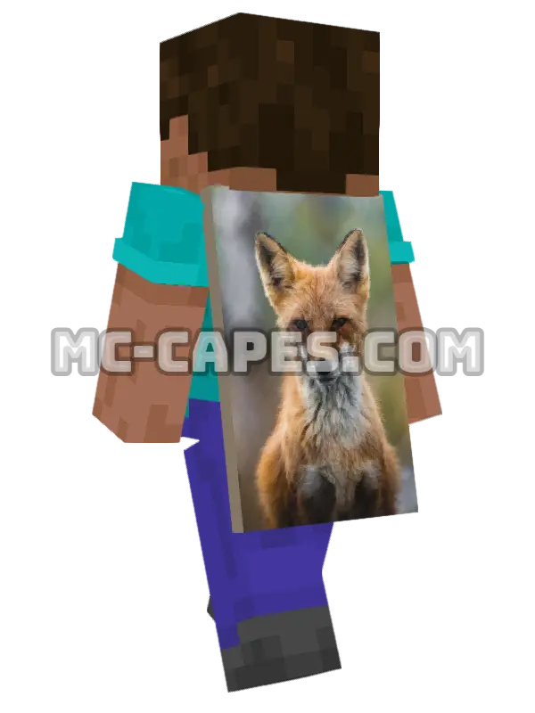 Red Fox Minecraft cape worn on a player, seen from behind