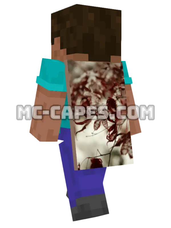 Red Maple Leaf Minecraft cape worn on a player, seen from behind