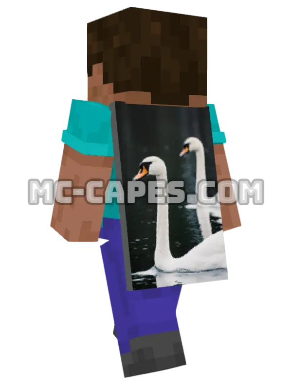 River Swans Minecraft cape worn on a player, seen from behind