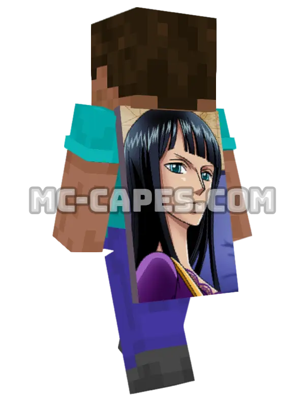 Robin Nico Minecraft cape worn on a player, seen from behind