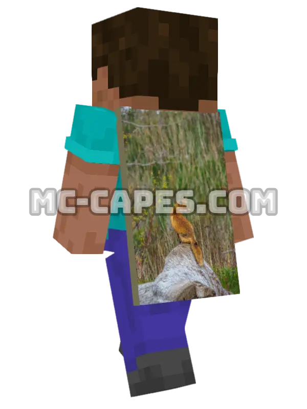 Rock Fox Minecraft cape worn on a player, seen from behind