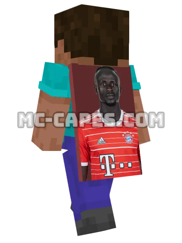 Sadio Mane Minecraft cape worn on a player, seen from behind