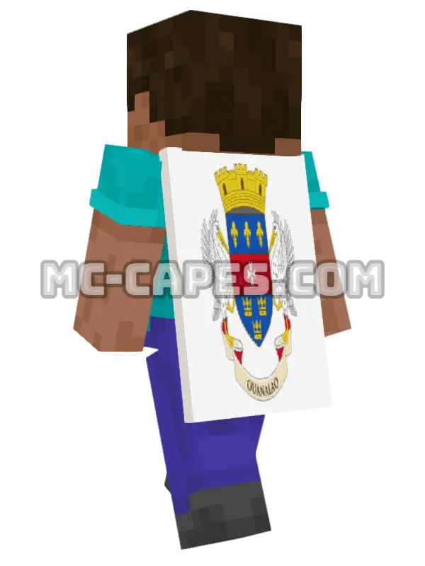 Saint Barthélemy Flag Minecraft cape worn on a player, seen from behind