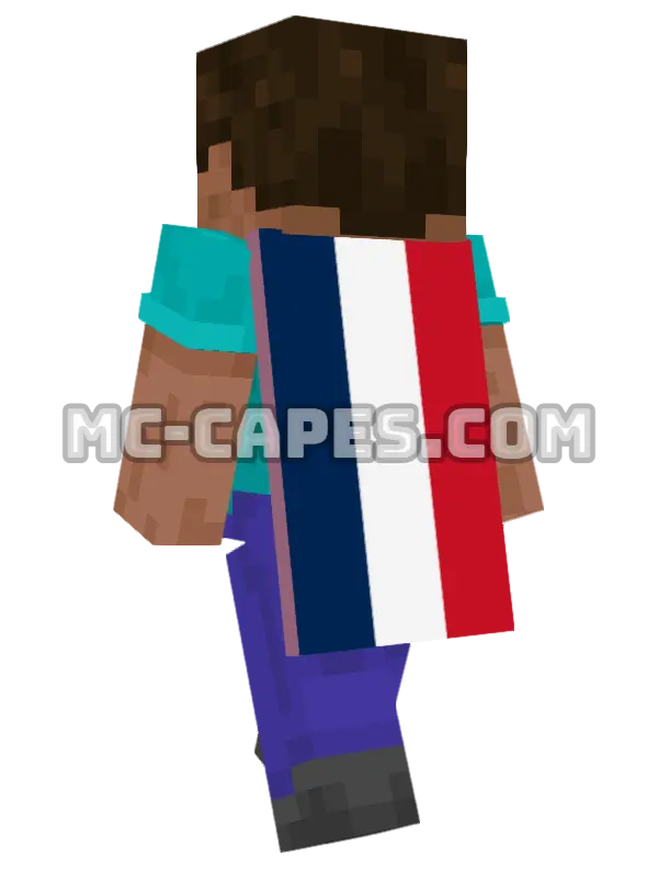 Saint Martin Flag Minecraft cape worn on a player, seen from behind
