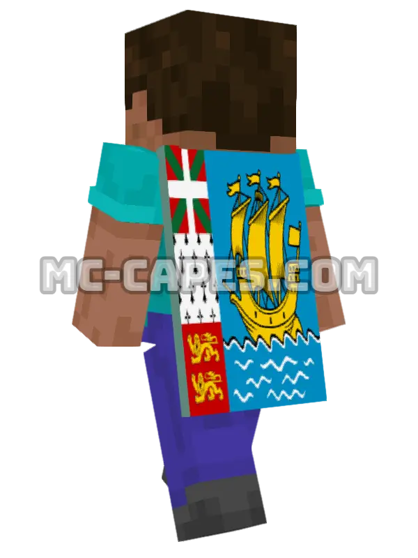 Saint Pierre and Miquelon Flag Minecraft cape worn on a player, seen from behind