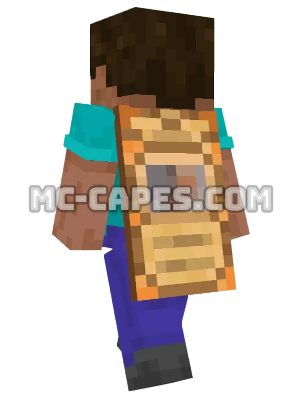 Scrolls Minecraft cape worn on a player, seen from behind