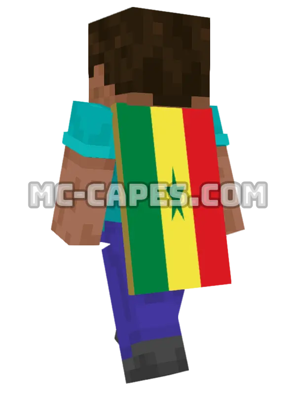Senegal Flag Minecraft cape worn on a player, seen from behind