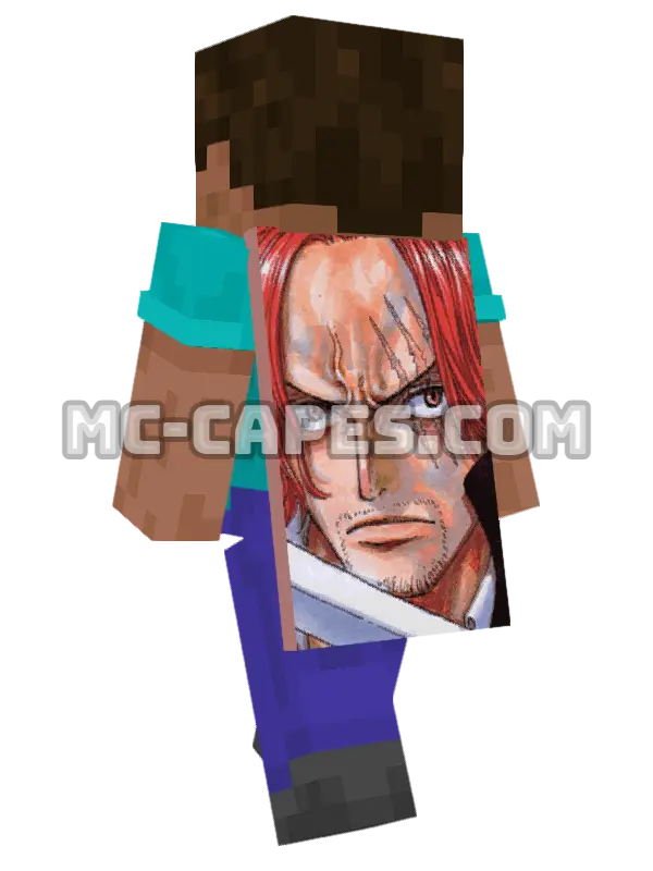 Shanks Minecraft cape worn on a player, seen from behind