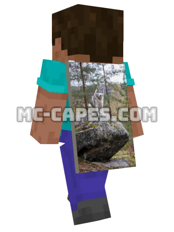 Siberian Husky Minecraft cape worn on a player, seen from behind