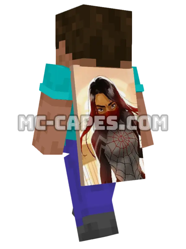 Silk Minecraft cape worn on a player, seen from behind