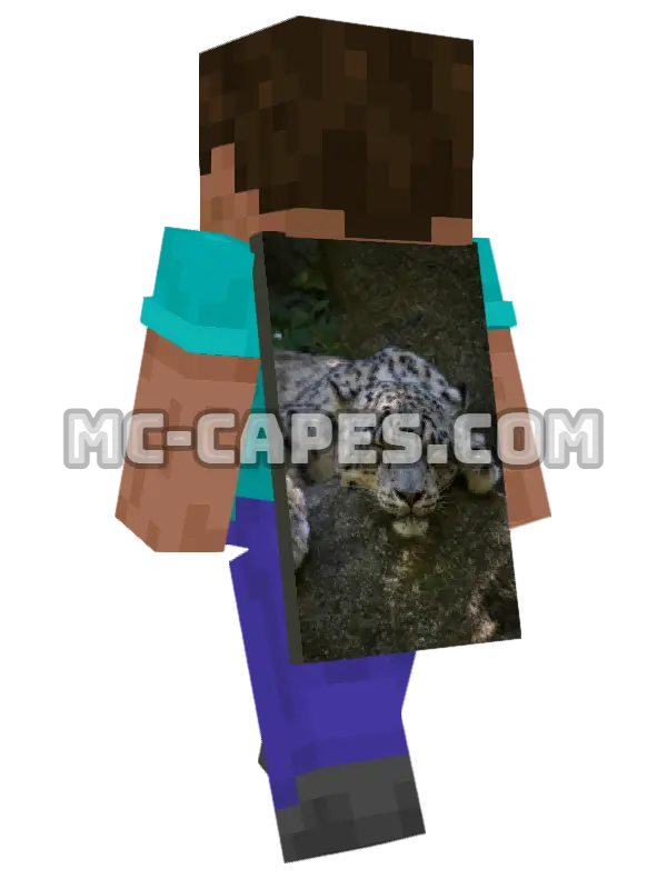 Snow Leopard Minecraft cape worn on a player, seen from behind
