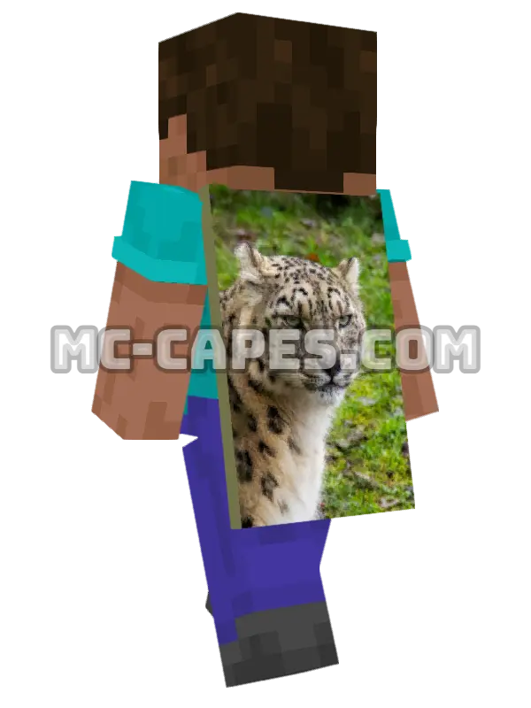 Snow Leopard Minecraft cape worn on a player, seen from behind