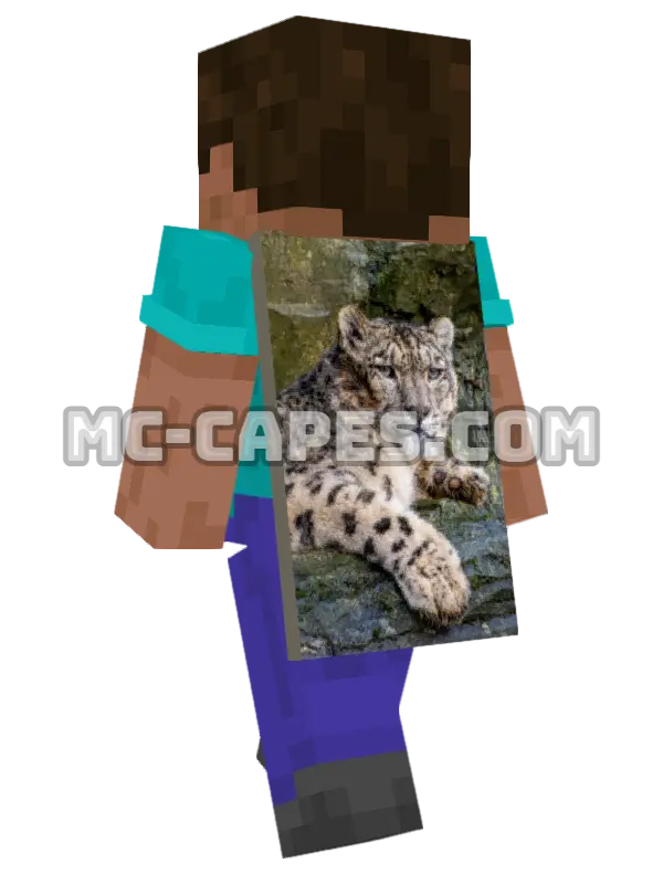 Snow Leopard Minecraft cape worn on a player, seen from behind