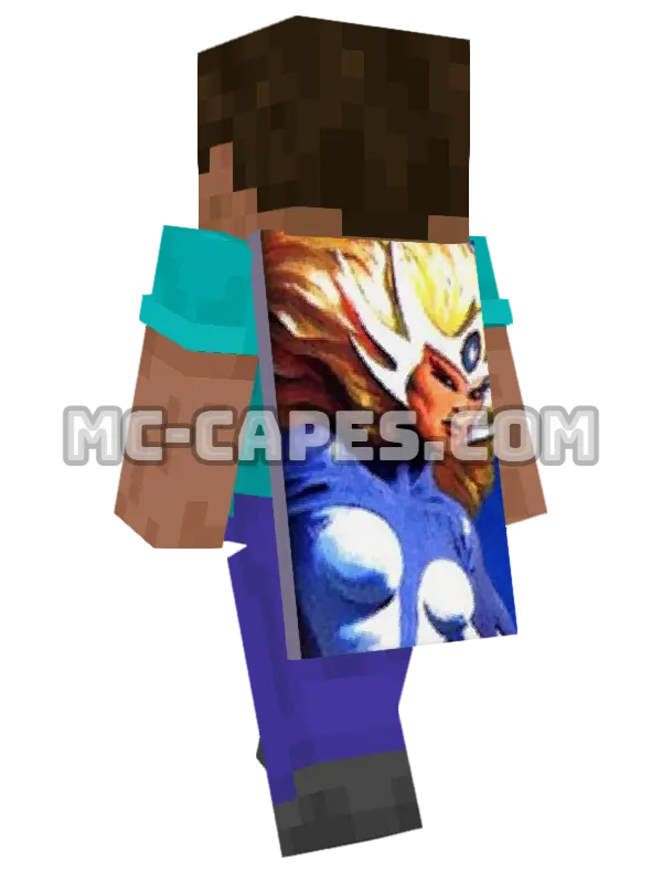Snowbird Minecraft cape worn on a player, seen from behind
