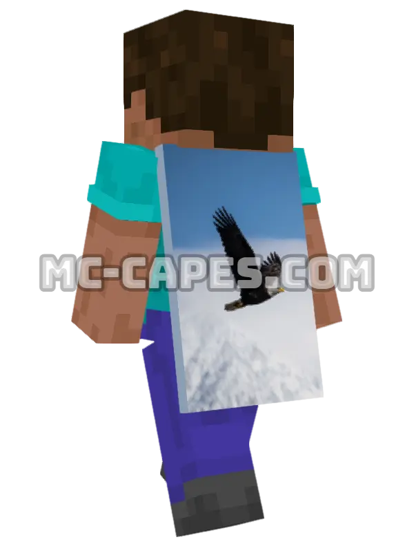 Soaring Eagle Minecraft cape worn on a player, seen from behind