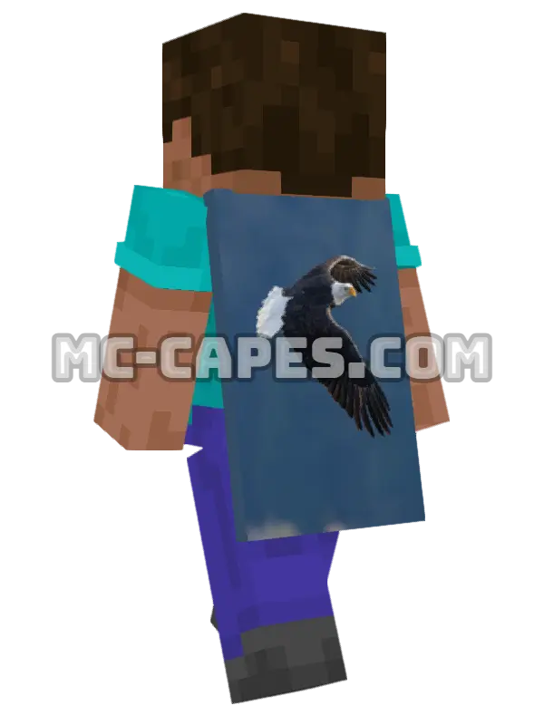 Soaring Eagle Minecraft cape worn on a player, seen from behind