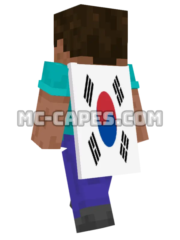 South Korea Flag Minecraft cape worn on a player, seen from behind