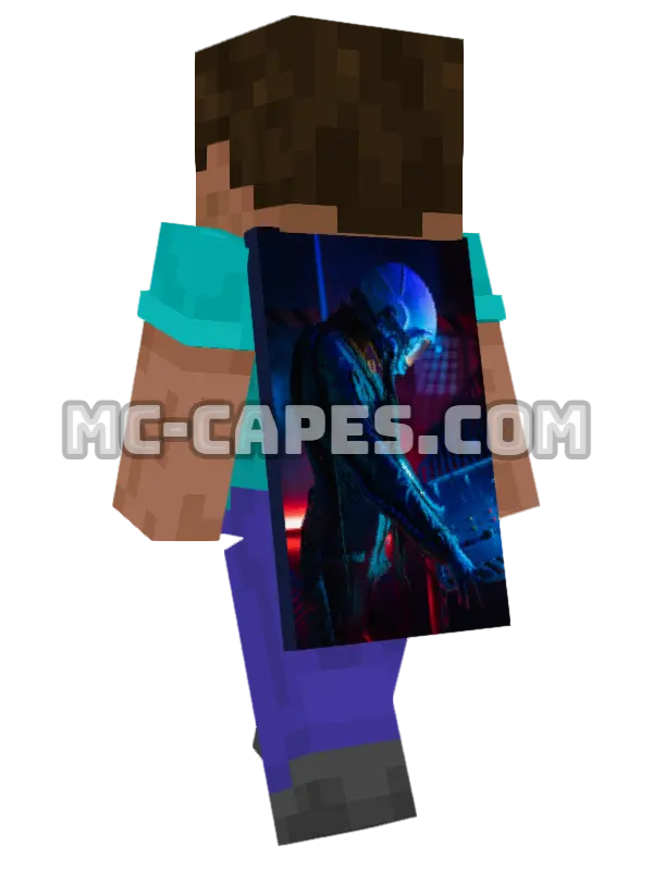Spaceship Controls Minecraft cape worn on a player, seen from behind