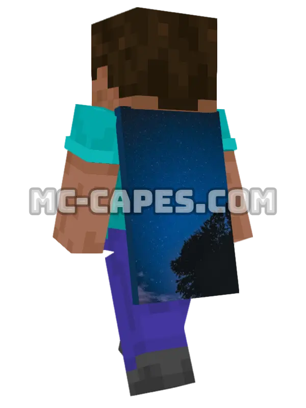 Starry Night Sky Minecraft cape worn on a player, seen from behind
