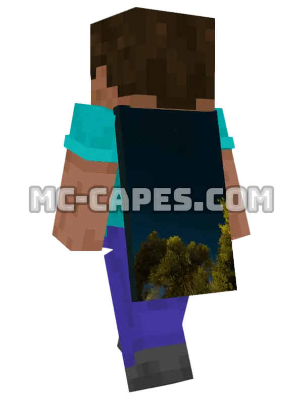 Starry Trees Minecraft cape worn on a player, seen from behind