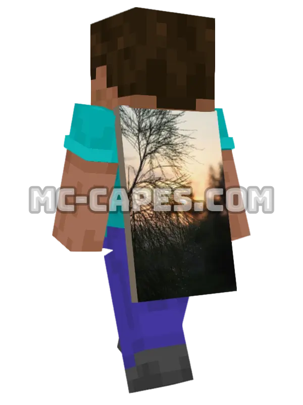 Sunset Branch Minecraft cape worn on a player, seen from behind
