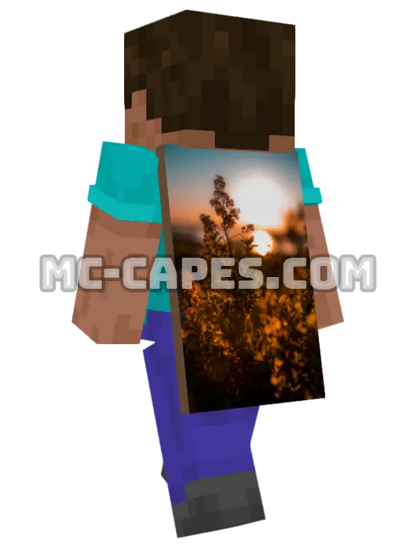 Sunset Plant Minecraft cape worn on a player, seen from behind