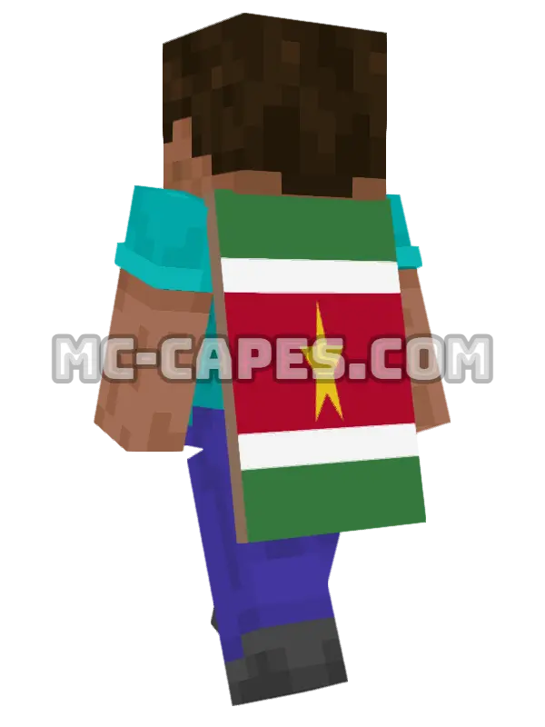 Suriname Flag Minecraft cape worn on a player, seen from behind