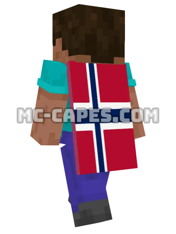 Svalbard and Jan Mayen Flag Minecraft cape worn on a player, seen from behind